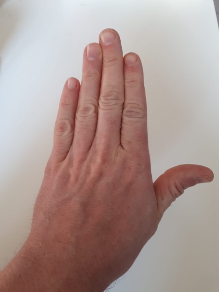 Datei:Schnick flagge.jpeg